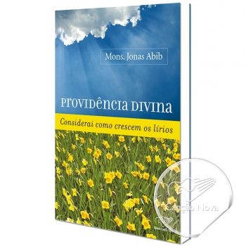 Livro Providência Divina -...