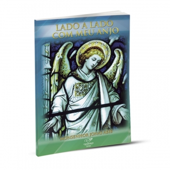 Livro Lado a lado com meu anjo