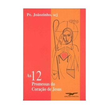Livro As 12 promessas do...