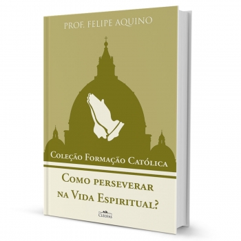 Livro Como perseverar na...