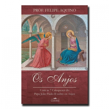 Livro Os Anjos