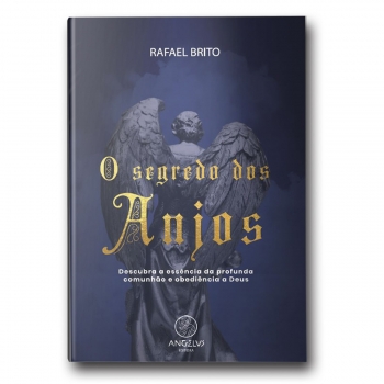 Livro O segredo dos Anjos
