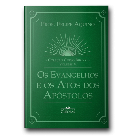 Livro Coleção Curso Biblico Vol V - Os Evangelhos e os Atos dos Apostolos