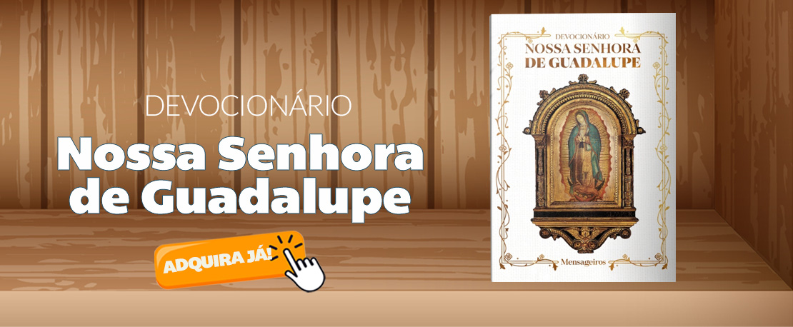 Devocionario N S Gaudalupe Slide background